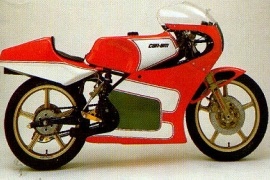CAN-AM/ BRP 250 Road Racer